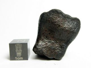 Nwa X Meteorite 17.  44g Cool Cosmic Chondrite W/ Rollover Rimming