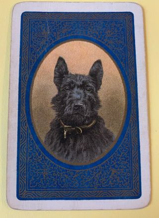 Playing Swap Cards = 1 Single Vintage English Scottie Dog Blue (small Crease)
