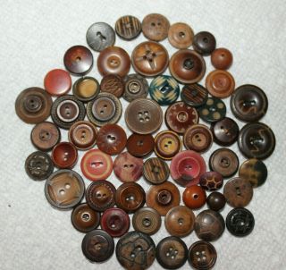 (b) Great Vegetable Ivory Tagua Nut Buttons Carved,  Spotted,  Whistle,  Bowl,  Donut