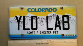 License Plate,  Colorado,  Adopt A Shelter Pet,  Ylo Lab,  Dog: Yellow Lab