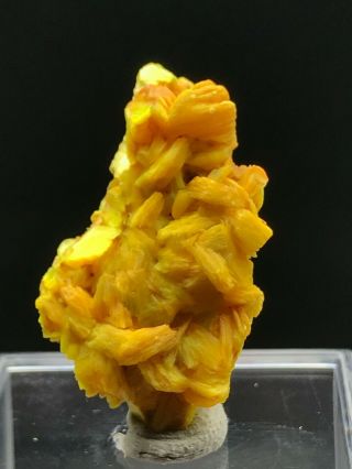 3.  8g Natural Rare Yellow Autunite Crystal Cluster Display Mineral Specimen