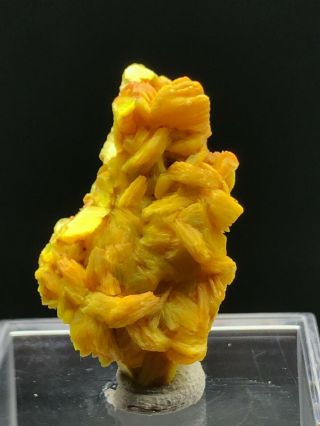 3.  8g Natural Rare yellow Autunite Crystal Cluster Display Mineral Specimen 2