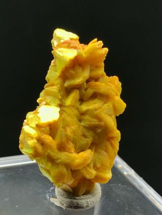 3.  8g Natural Rare yellow Autunite Crystal Cluster Display Mineral Specimen 3