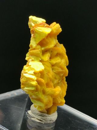 3.  8g Natural Rare yellow Autunite Crystal Cluster Display Mineral Specimen 4