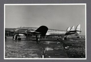 Boac Lockheed Constellation G - Ahej Vintage Airline Photo B.  O.  A.  C.