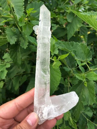 170g Rare Natural Clear Quartz Crystal Cluster Specimen A30