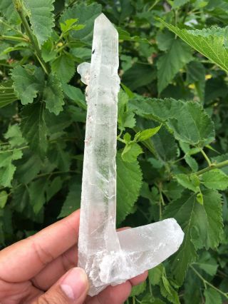 170g Rare Natural Clear Quartz Crystal Cluster Specimen A30 2