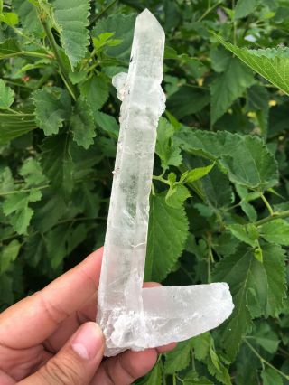 170g Rare Natural Clear Quartz Crystal Cluster Specimen A30 4