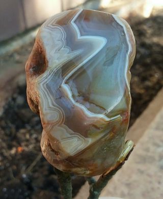Lake Superior Agate 3.  8 Ounce With White Banding (face Polished Gem)