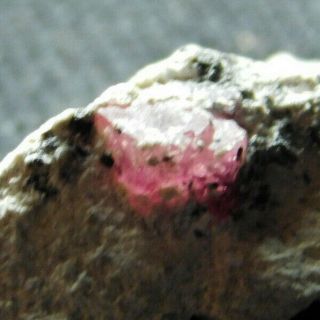 A Little 100 Natural Red Emerald Bixbite Or Red Beryl Crystal From Utah 4.  4 E