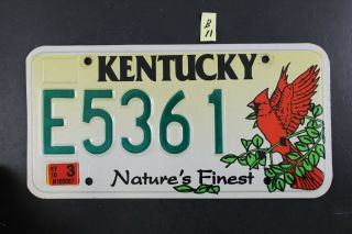 Kentucky License Plate E5361 Nature 