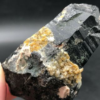 95G Rare Natural Black QUARTZ Crystal Cluster Mineral Specimen LYQ598 2