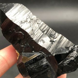 95G Rare Natural Black QUARTZ Crystal Cluster Mineral Specimen LYQ598 3