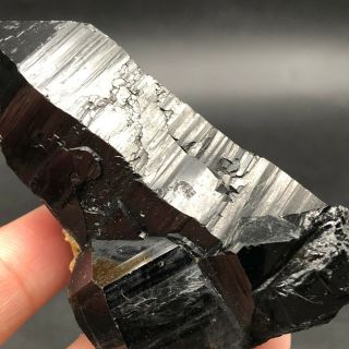 95G Rare Natural Black QUARTZ Crystal Cluster Mineral Specimen LYQ598 5