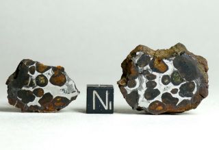 Meteorite Sericho - 33.  3g Split Individual - Polished Pair Pallasite