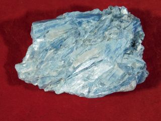 A 100 Natural Light BLUE Paraiba KYANITE Crystal Cluster With Quartz 127gr e 2