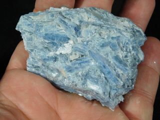 A 100 Natural Light BLUE Paraiba KYANITE Crystal Cluster With Quartz 127gr e 5