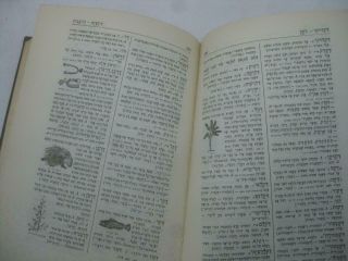 5 vol.  set HEBREW - HEBREW dictionary EBEN SHUSHAN אבן שושן מלון Even Shushan 7