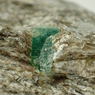 Green Beryl Var.  Emerald In Schist Habach,  Austria