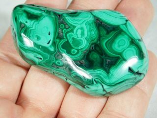 A Neat Pattern On This Solid Polished Malachite Stalactite The Congo 97.  4gr E
