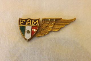 Vintage Airline Pilots Wing Badge Mexico Reserve Pilot (91)