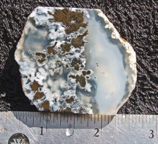 Polished rock slab MARFA plume agate - specimen 2