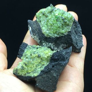 134g2pcs Natural Green Olivine Volcanic Rock And Mineral Specimens/ Hebei Provin