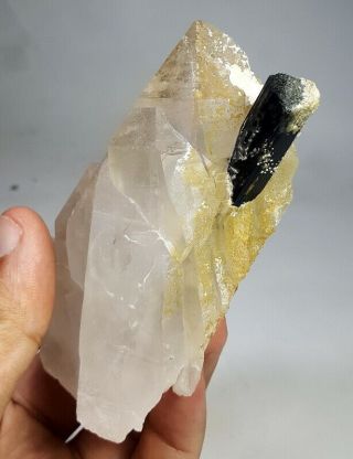 271 grams Black Tourmaline On Cathedral Quartz Crystal Specimen 4