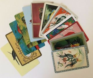 12 Vintage Playing Cards Summer Parrots/birds All Different Ex Joker