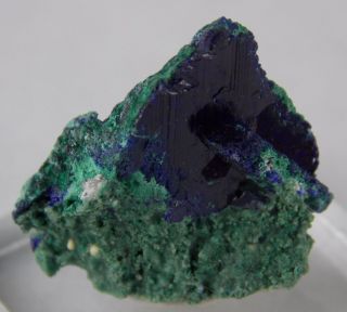 Azurite Crystal With Malachite - 2 Cm - Milpillas Mine,  Mexico 22197