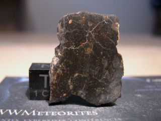 Meteorite Nwa 11452 - Chondrite Breccia Ll4 - 6