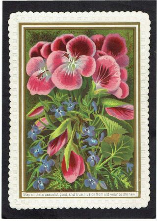 Pretty Victorian Year Greetings Card Flowers Geranium
