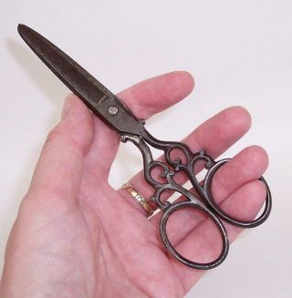 Vintage/antique Victorian Edwardian Scissors Sewing Ornate - 5.  5 " Long