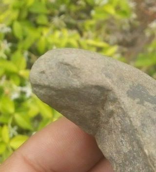 Indian Artifact Rare Slate Lizard Effigy Arrowheads