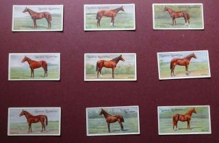 Racehorses Issued 1907 By Ogdens Set 50