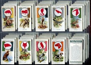 Tobacco Card Set,  John Player,  Boy Scout & Girl Guide,  Cub,  Beaver,  Badge,  1933