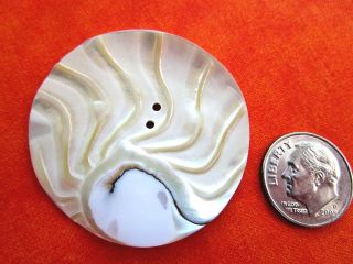 6013 – Lovely Flowing Fan - Like Design Natural Shell Vintage Button