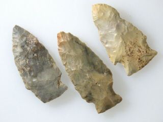group of 10 colorful Archaic - Woodland points,  Jackson Co. ,  IL.  x Fricke 3