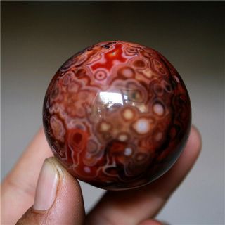 41MM Madagascar Crazy Lace Banded Agate Energy Sphere Ball 3