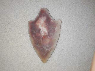 Authentic Florida Arrowhead Cypress Creek Personal Find Pasco County Florida