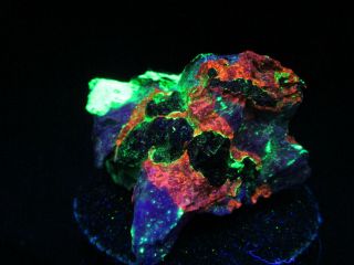 Sphalerite Magnetite Troosite Fluorescent Mineral Rock Sterling Hill C8