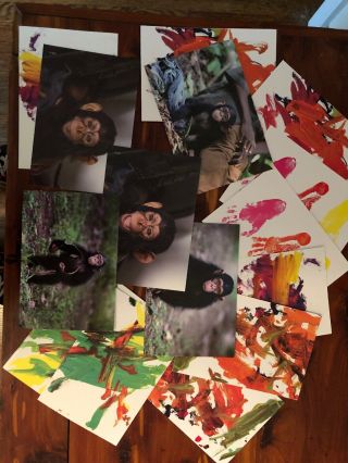 Jane Goodall Institute Greeting Note Cards & Envelopes 15 Chimpanzee’s Paintings