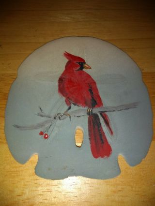 Hand - Painted Vintage Cardinal Painted On Sand Dollar