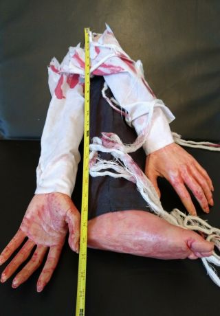 Bloody Halloween Horror Movie Style Prop Arms Legs Hands Feet 2