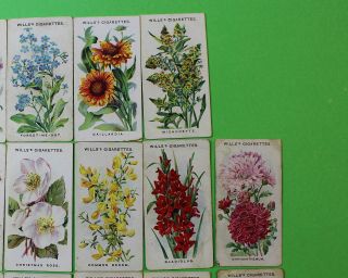 Cigarette Cards W.  D.  & H.  O.  Wills Old English Garden Flowers 1911 26/50 119 3