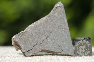 Nwa 10492 H4 Chondrite Meteorite 13.  1 Gram Part Slice First Time Offered