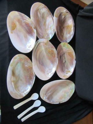 Set Of 7 Vintage Shell Caviar Dishes Salt Cellars With 3 Spoons Mother Of Pearl