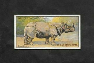 Nestle 1910 Scarce (animals) Type Card " Rhinoceros - Wild Animals Serie 2 "