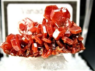 Minerals : Group Of Vanadinite Crystals On Matrix From Morocco