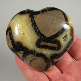2.  9 " Septarian Heart Dragon Stone Polished Palm Stone Healing Reiki - Madagascar